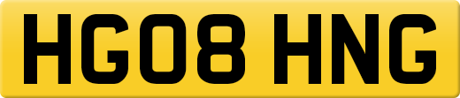 HG08HNG